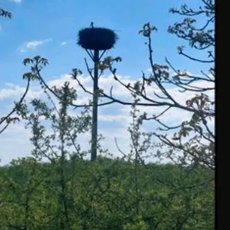 Vakantiehuis Landleben! Feldblick 5 Personen Blankensee (Mecklenburg-Vorpommern)