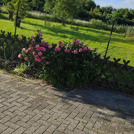 Vakantiehuis Landleben! Feldblick 5 Personen *