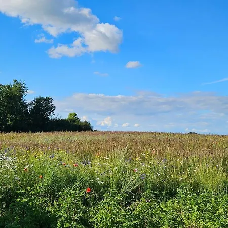 Landleben! Feldblick 5 Personen *