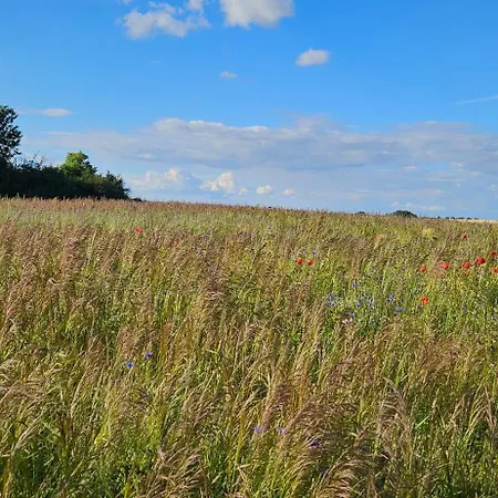 Landleben! Feldblick 5 Personen * Blankensee (Mecklenburg-Vorpommern)