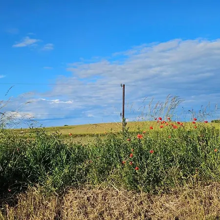 Vakantiehuis Landleben! Feldblick 5 Personen Blankensee (Mecklenburg-Vorpommern)