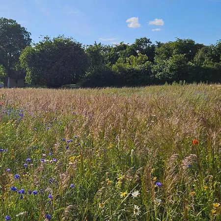 Landleben! Feldblick 5 Personen *