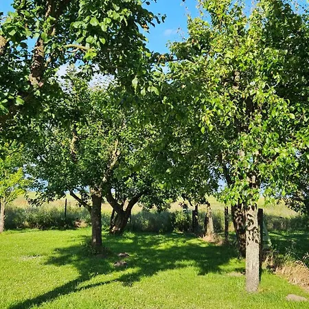 Landleben! Feldblick 5 Personen Blankensee (Mecklenburg-Vorpommern)