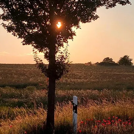 Landleben! Feldblick 5 Personen Vakantiehuis *
