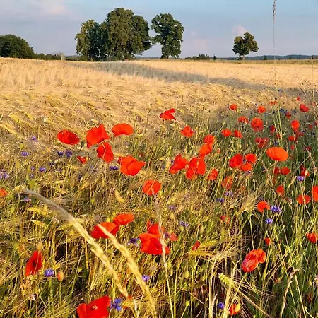 Landleben! Feldblick 5 Personen Vakantiehuis