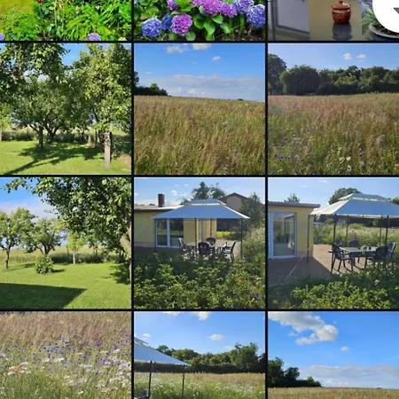 Landleben! Feldblick 5 Personen * Blankensee (Mecklenburg-Vorpommern)