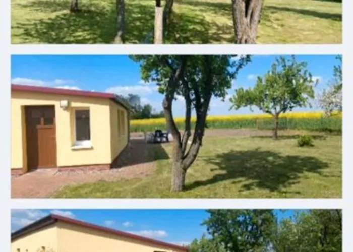 Ferienhaus Landleben! Feldblick 5 Personen Blankensee (Mecklenburg-Vorpommern)