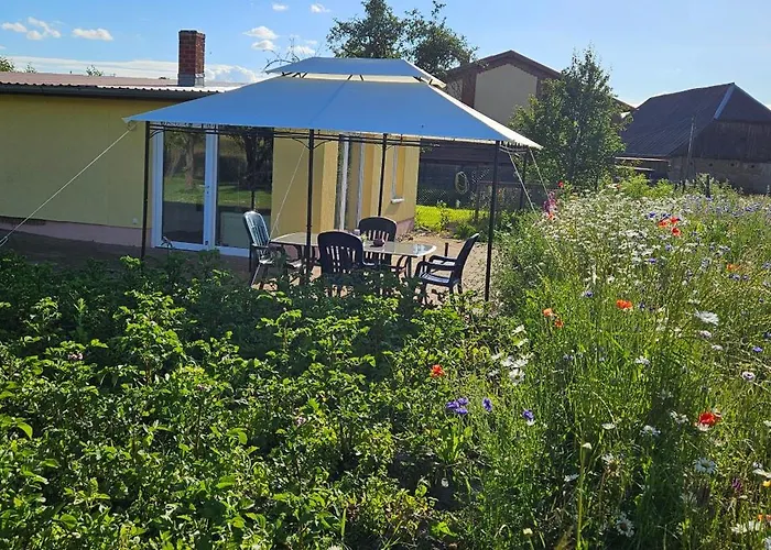 Landleben! Feldblick 5 Personen Ferienhaus Blankensee (Mecklenburg-Vorpommern)