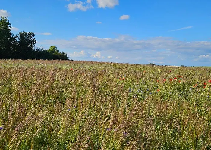 Landleben! Feldblick 5 Personen * Blankensee (Mecklenburg-Vorpommern)